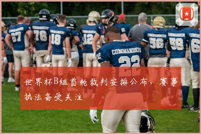 世界杯B组首轮裁判安排公布，赛事执法备受关注